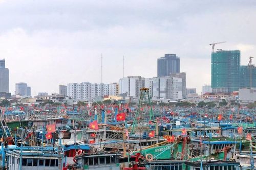 Hàng nghìn tàu cá ở Đà Nẵng vào neo đậu an toàn trước bão số 12