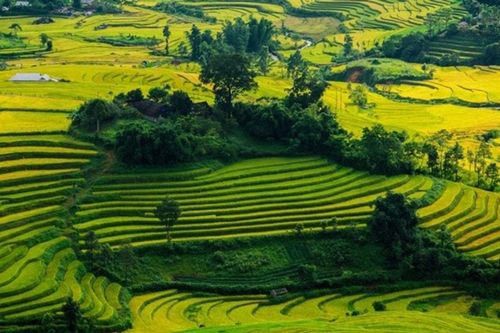 Khám phá mùa thu Lai Châu