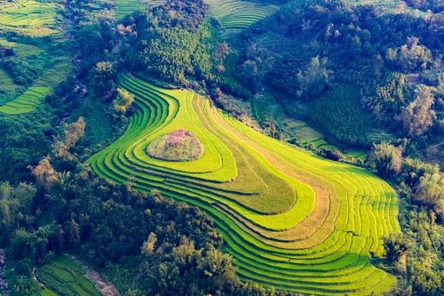 Đẹp ngất ngây ruộng bậc thang ở thung lũng Lục Hồn