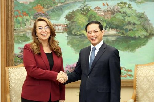 Liên Hợp Quốc đánh giá cao sáng kiến của Việt Nam về trung tâm đào tạo chống tội phạm mạng