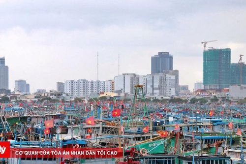 Hơn 4.000 tàu cá vào neo đậu an toàn tại Đà Nẵng trước bão số 12