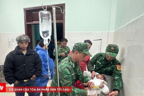 Trưởng thôn ở Đà Nẵng bị gấu rừng tấn công