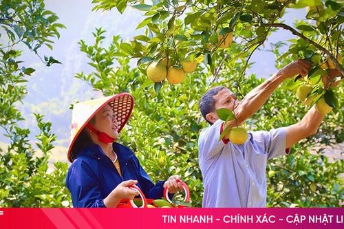 'Đòn bẩy' giúp nông dân Vũ Quang phát triển kinh tế bền vững