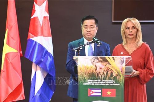 'Hạt vàng' của tình hữu nghị Việt Nam-Cuba