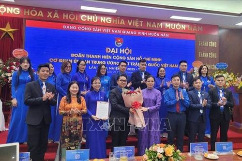 Tuổi trẻ Cơ quan Ủy ban Trung ương Mặt trận Tổ quốc Việt Nam tiên phong trong chuyển đổi số