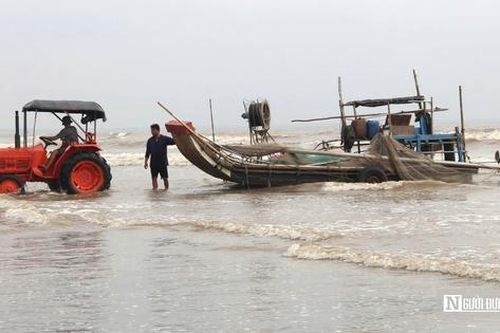 Người dân xứ Nghệ đổ xô săn 'lộc trời', bỏ túi tiền triệu mỗi ngày