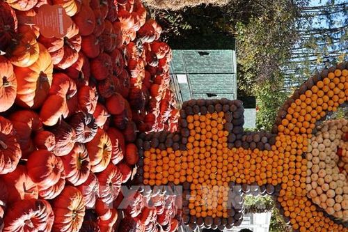 Rực rỡ Lễ hội Bí ngô lớn nhất vùng thủ đô nước Đức