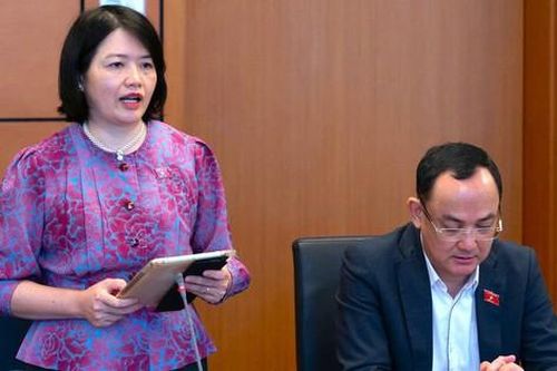 ĐBQH quan ngại tình trạng bạo lực, xâm hại trẻ em tại học đường và môi trường mạng
