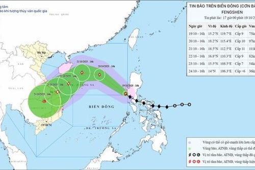 Bão số 12 là 'bom nước' gây mưa kỷ lục, tương đương nửa năm lượng mưa ở miền Nam