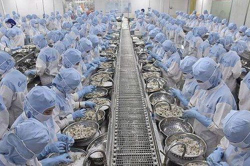 Nhiều công ty xuất khẩu thủy sản lớn xuống phong độ vì thị trường Mỹ