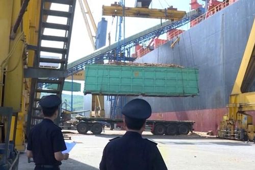 Xuất khẩu của Thanh Hóa đạt gần 5,9 tỷ USD sau 10 tháng