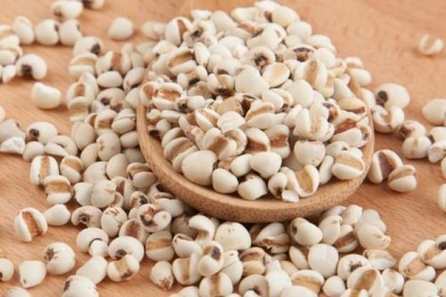 Bộ Y tế đề nghị thu hồi lô dược liệu Ý dĩ không đạt tiêu chuẩn chất lượng
