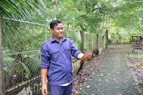 Chung tay bảo tồn động vật hoang dã