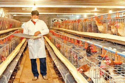 Bắc Ninh: Trao sinh kế cho đồng bào dân tộc thiểu số