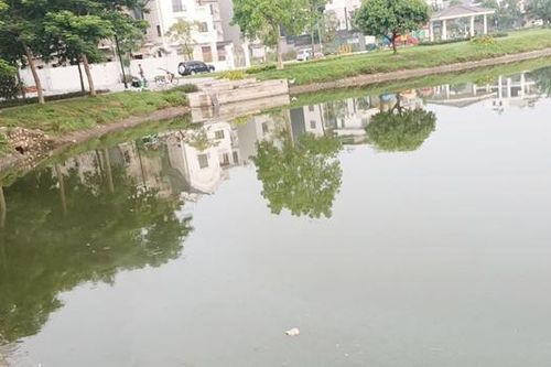 Triển khai thử nghiệm công nghệ xử lý nước thải để cải thiện môi trường các hồ khu vực phường Bắc Giang