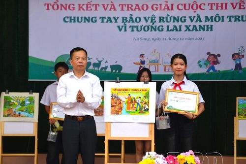 Trao 12 giải cuộc thi vẽ tranh 'Chung tay bảo vệ rừng và môi trường vì tương lai xanh' tại xã Na Sang