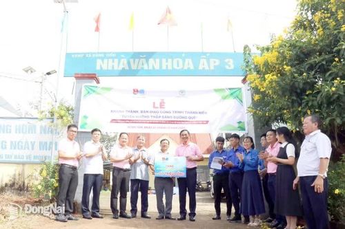 Đồng Tâm: Bàn giao công trình thanh niên 'Tuyến đường thắp sáng đường quê'