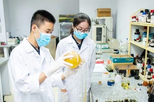 Nhiều chính sách ưu đãi đối với nhà khoa học và kỹ sư trẻ tài năng