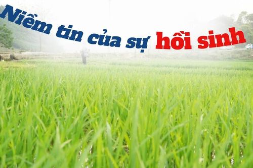 Niềm tin của sự hồi sinh