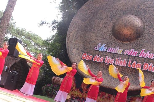 Để 'siêu quần thể' đạt đẳng cấp quốc tế