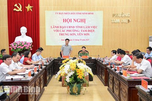 Đồng chí Phó Chủ tịch UBND tỉnh Trần Anh Dũng làm việc với các phường: Tam Điệp, Trung Sơn, Yên Sơn