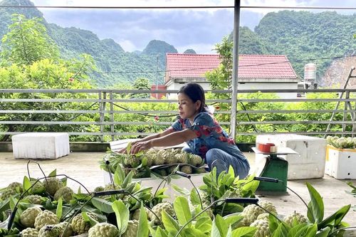 Phong trào thi đua yêu nước ở xã Lạc Thủy: Khơi dậy sức mạnh đoàn kết, tạo động lực phát triển bền vững