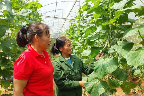 Thanh Sơn – Khát vọng vươn lên