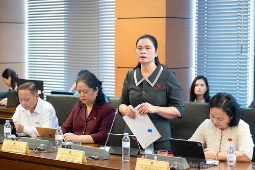 Quan tâm bố trí thêm nguồn lực, phương tiện, điều kiện hoạt động cho Đoàn ĐBQH các địa phương
