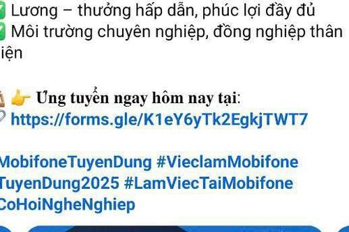Cảnh báo chiêu lừa đảo tuyển dụng