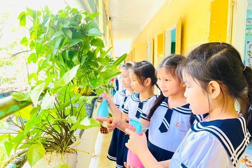 Xây dựng trường học không rác thải nhựa