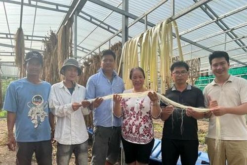 Cầu nối kiến tạo giúp HTX vững vàng trong cuộc chiến giảm nghèo