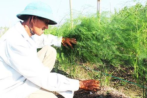 Nhiều xung lực trong xây dựng nông thôn mới ở Khánh Hòa