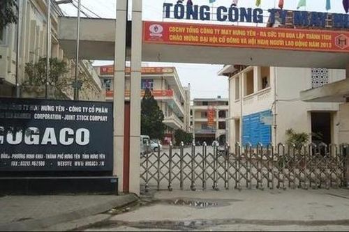 Hugamex (HNI) báo lãi quý 3 giảm 34%, biên gộp chạm đáy 2 năm do gián đoạn xuất khẩu sang Mỹ