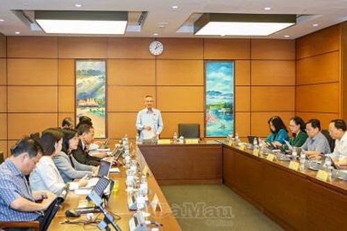 Đoàn ĐBQH tỉnh Cà Mau: Thẳng thắn, trách nhiệm và tâm huyết tại phiên thảo luận Tổ chiều 21/10
