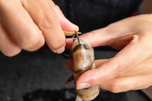 Điều gì xảy ra với cơ thể nếu ăn đường chỉ đen trên lưng tôm?