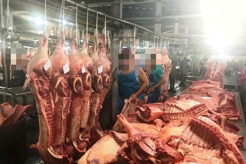 Hà Nội 'chốt' thời điểm xóa sổ cơ sở giết mổ động vật tự phát, không đủ điều kiện vệ sinh