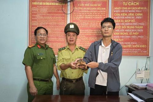 Nam thanh niên bất ngờ gặp động vật quý hiếm nhóm IB gần phòng trọ