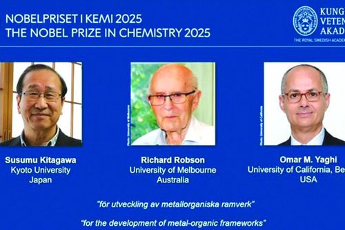 Toàn cảnh Nobel 2025: Thấy gì từ đỉnh cao tri thức nhân loại