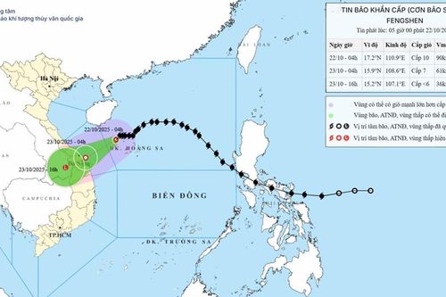 Bão số 12 Fengshen giật cấp 12, nhiều tỉnh hứng mưa cực lớn