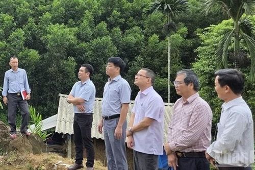 Quảng Ngãi xác định có 301 điểm có nguy cơ sạt lở đồi, núi và lũ quét