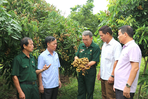 Phát huy vai trò đảng viên cao tuổi ở cơ sở-Thêm gắn kết cộng đồng, nhân lên niềm tin: Bài 1: Nhân dân lắng nghe và nể trọng