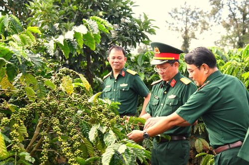 Điểm sáng doanh nghiệp Quân đội trên địa bàn chiến lược Tây Nguyên
