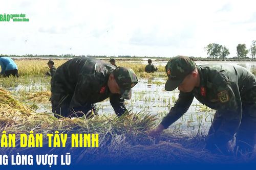Quân dân Tây Ninh đồng lòng vượt lũ