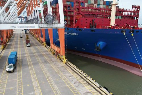 Sản lượng tàu mẹ thông qua Cái Mép – Thị Vải đạt 5,6 triệu TEUs, tăng 18%