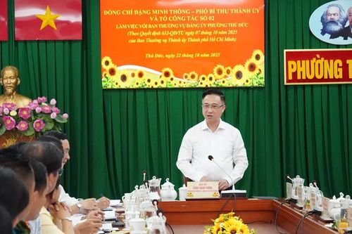 Rà soát, bổ sung các chỉ tiêu nhiệm vụ theo Nghị quyết Đại hội Đảng bộ TPHCM lần I