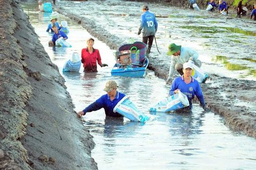 Đổi mới sáng tạo là 'chìa khóa' mở rộng giá trị ngành tôm Việt Nam