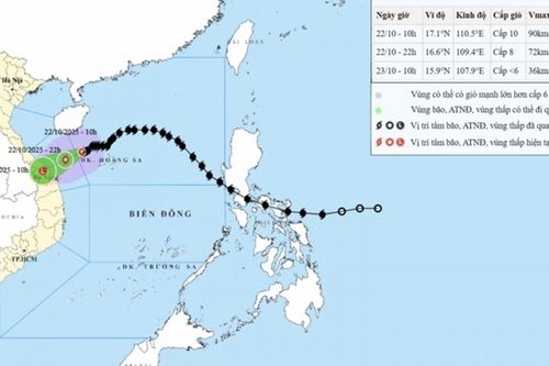 Bão số 12 cách TP. Đà Nẵng hơn 200km, khu vực Hà Tĩnh đến Quảng Ngãi mưa lớn diện rộng, nguy cơ cao xảy ra lũ quét và sạt lở đất