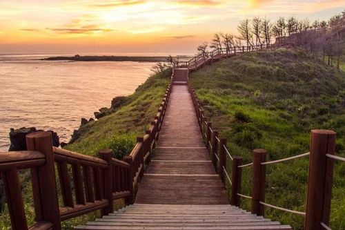 7 trải nghiệm 'đáng tiền' tận hưởng trọn vẹn mùa Thu Jeju