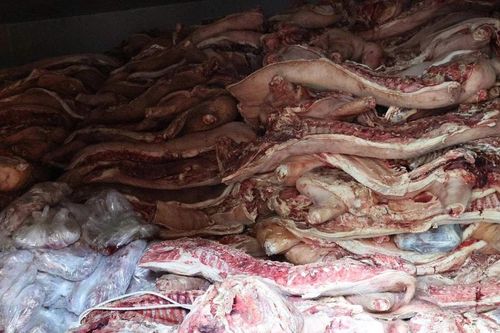 Phát hiện gần 38 tấn thịt lợn nhiễm bệnh chuẩn bị tiêu thụ ra thị trường