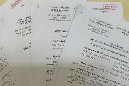 Vụ kiện bắt nguồn từ việc sổ đỏ cấp cho 'hộ gia đình'